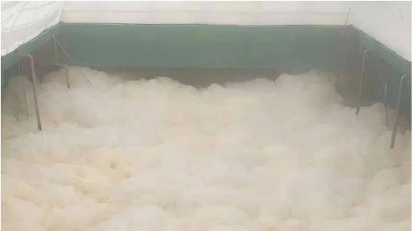 案例照片：污水启动泡沫